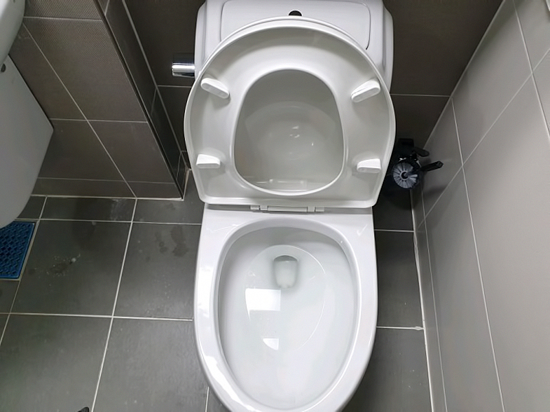 010.jpg