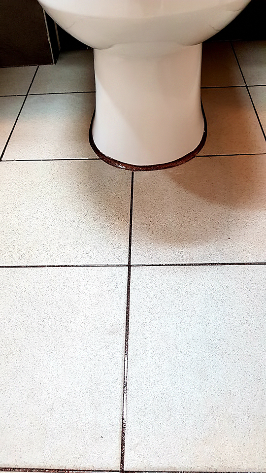 010.jpg