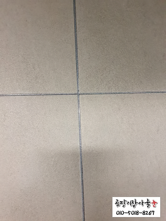 010.jpg